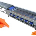 Roller-Bar Carrot Grading & Sorting Machine