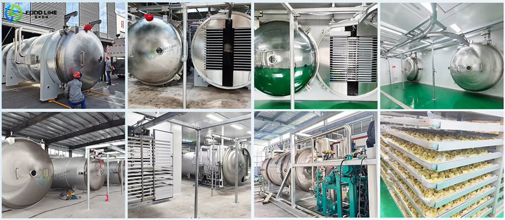 Professional Freeze Dryer