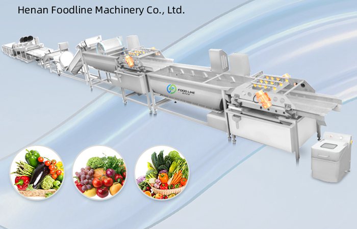 potato washing equipment