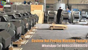 Read more about the article Cashew Nut Peeling Machine Price in Tanzania