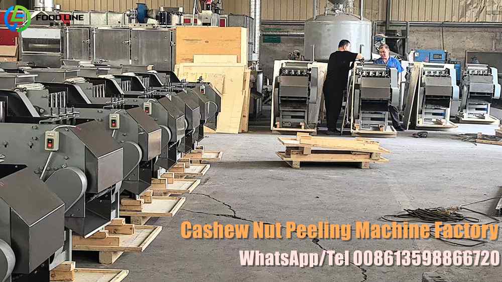 Read more about the article Cashew Nut Peeling Machine Price in Tanzania