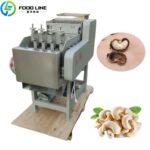 Cashew Nut Peeling Machine