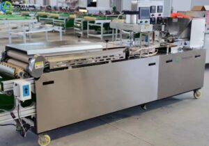 Read more about the article Commercial Tortilla Press Machine For Sale in Guatemala