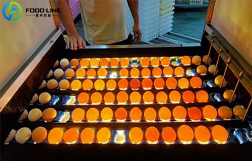 Egg Light Inspection (Candling)