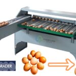small-scale-egg-grading-machine