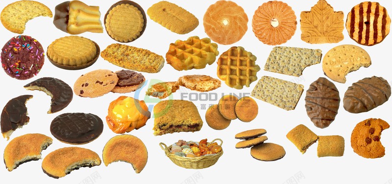 You are currently viewing Cookies Production Line Guide: Types of Biscuits & Machines Required
