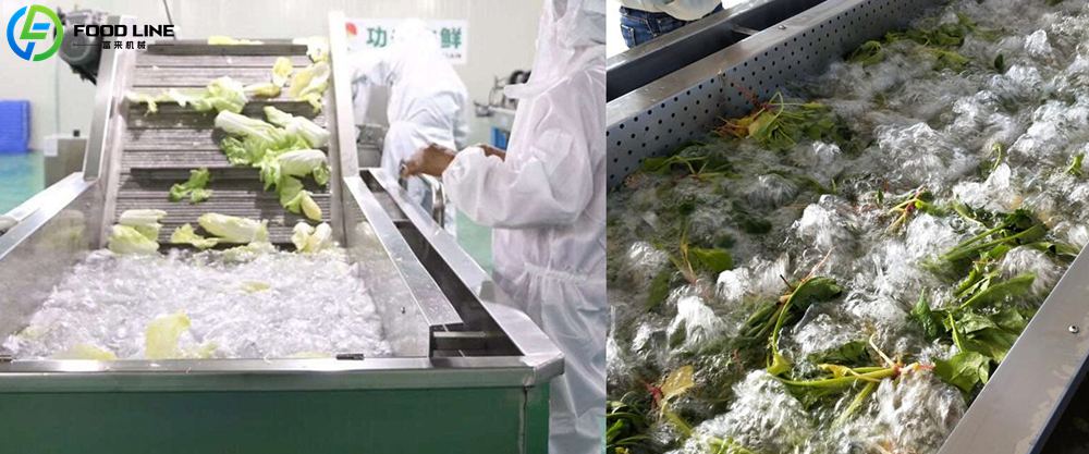 You are currently viewing Commercial vegetable washing machine in the Thailand