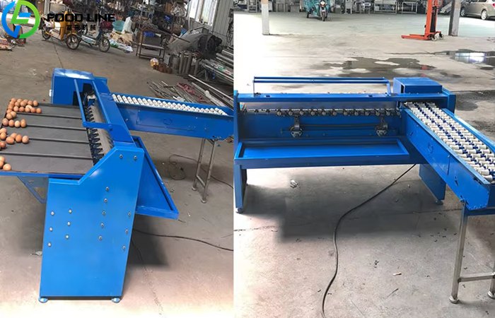 Chicken Egg Sorting Machine