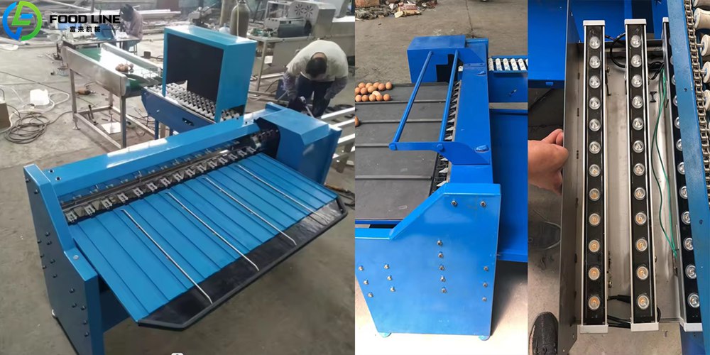 You are currently viewing Working Case: Egg Grading Machine for Sale in Thailand
