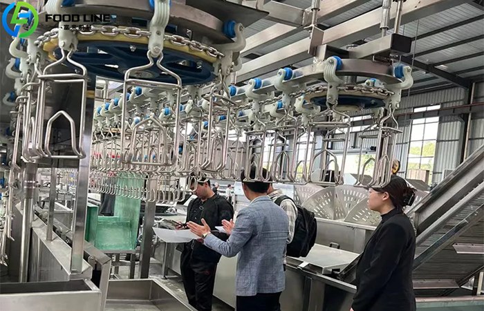 Chicken Stunning Machine for Sale