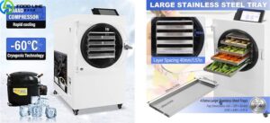 Read more about the article Freeze Dry Fruit Machine Price In Canada
