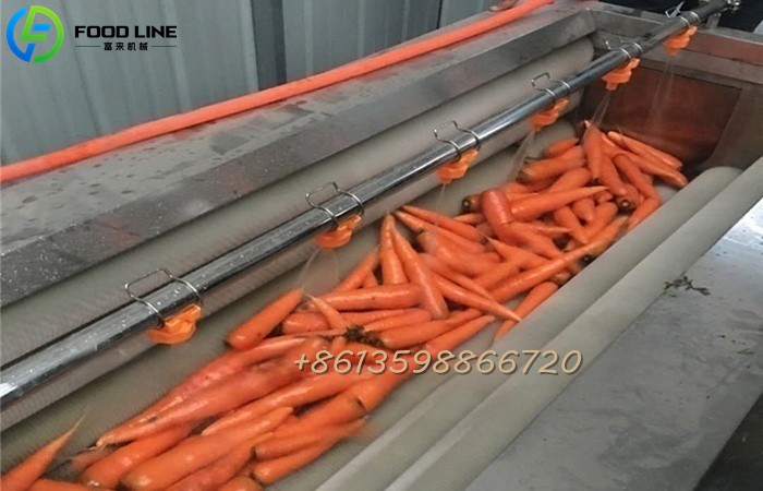 Industrial Carrot Peeler
