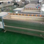 industrial-carrot-peeling-machine