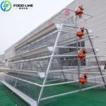 A-Type (A-shaped frame) Layer Chicken Cage