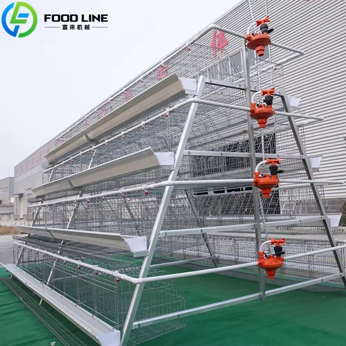 A-Type (A-shaped frame) Layer Chicken Cage