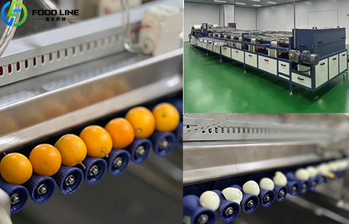 Automatic Tomato Color Sorter