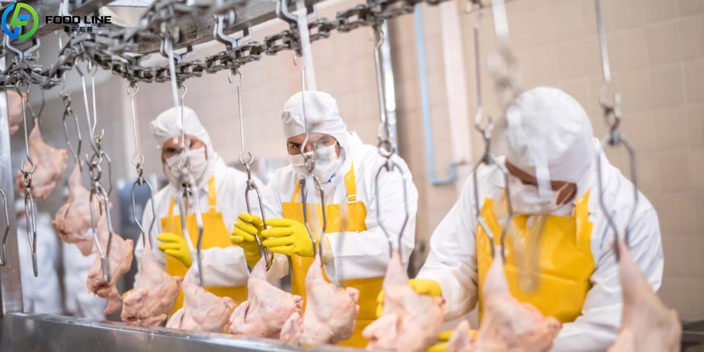 You are currently viewing Poultry Slaughtering Equipment Price in Mongolia