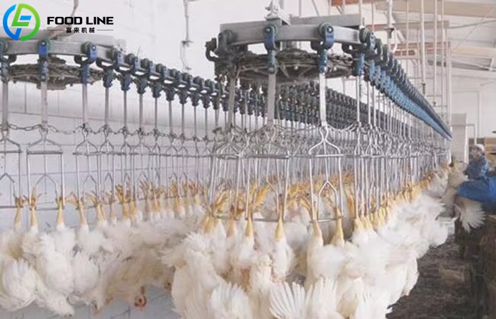Chicken Killing Machine