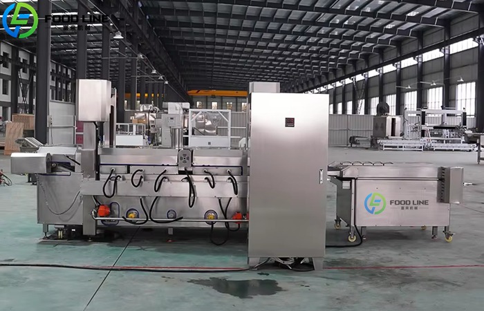 Continuous Fryer Machine