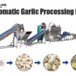 garlic-processing-machine