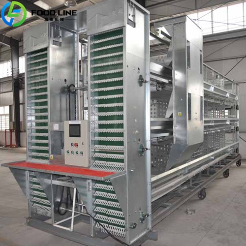 H-Type (H-shaped load-optimized frame) Layer Farming Equipment