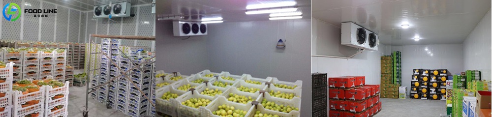 Prefabricated Cold Storage