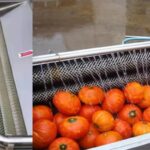 Pumpkin peeling machine