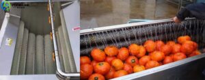 Read more about the article Pumpkin peeling machine in South Korea