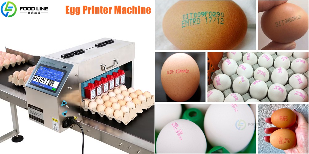 Food-Grade Egg Inkjet Printer