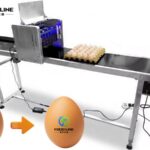 Egg Printing Machine for Sale | 40,000 eggs per hour Egg Marking System