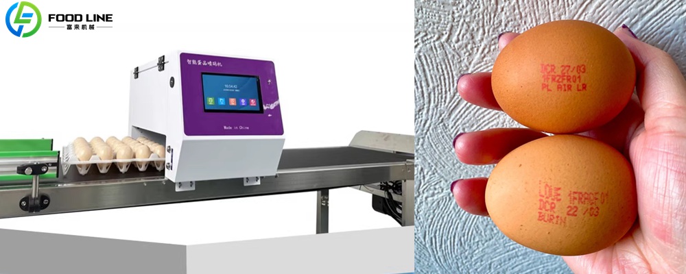 You are currently viewing Egg Stamping Machine Exported to France