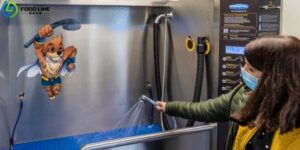 Read more about the article Self-Service Dog Wash Machine in France