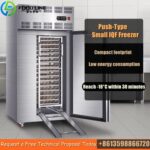 small-iqf-freezer