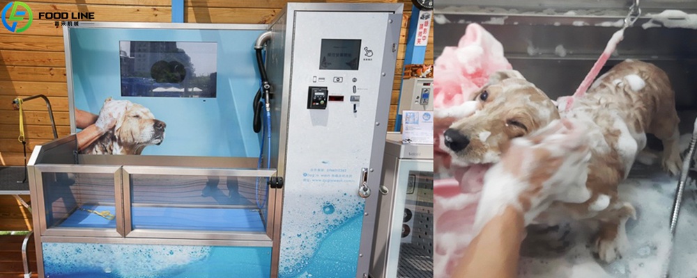You are currently viewing Automatic Dog Wash Vending Machine Exported to the UK