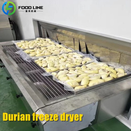 Durian freeze dryer