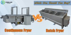Read more about the article Batch Fryer vs Continuous Fryer: Which One Should You Buy?