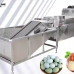 Automatic Egg Washing Machine