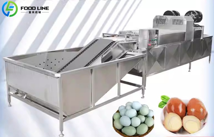 Automatic Egg Washing Machine