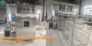Read more about the article Commercial Meat Smoker Machine Price in Chile