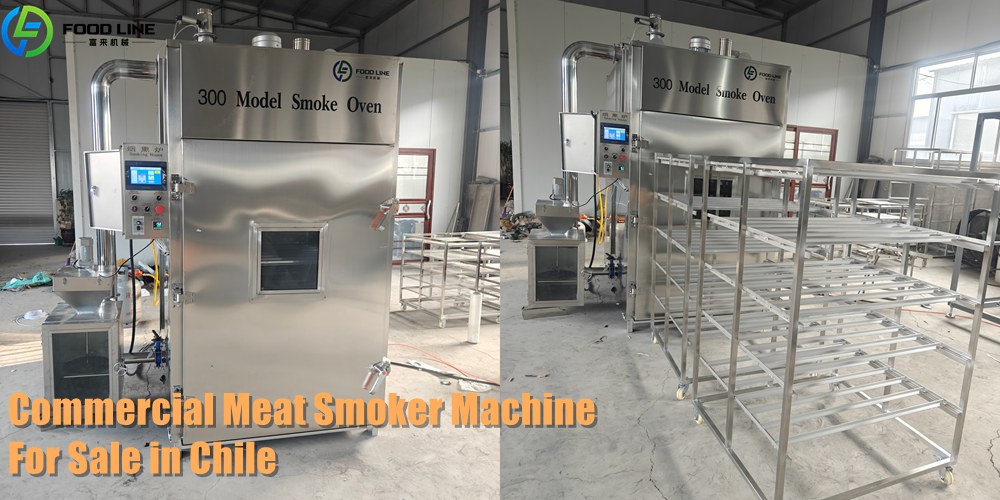 You are currently viewing Commercial Meat Smoker Machine Price in Chile