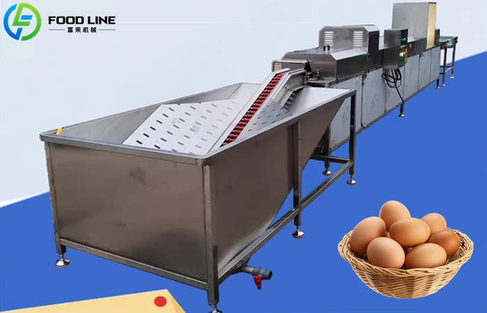 Automatic Egg Washing Machine