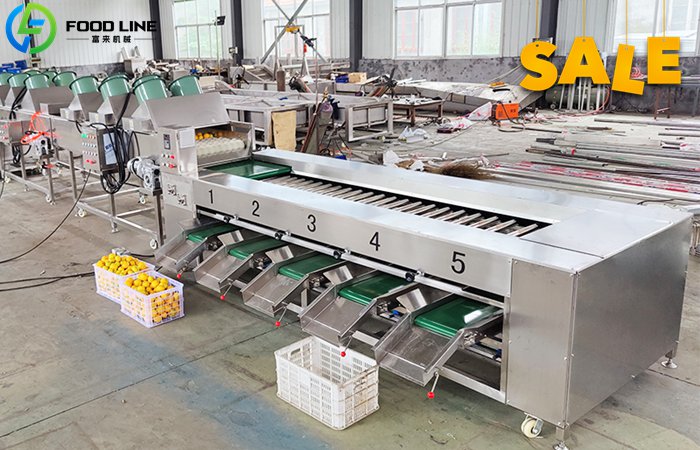 Fruit Grader For Sale