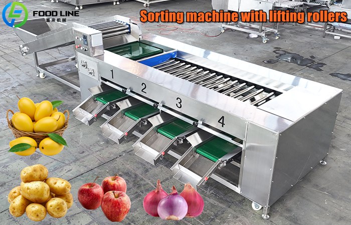 Fresh fruit sorting machine
