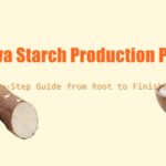 How is made? | Cassava Starch Production Process Cassava Starch Production Process