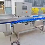 Vegetable grading machine with weighing system vegetable grading machine