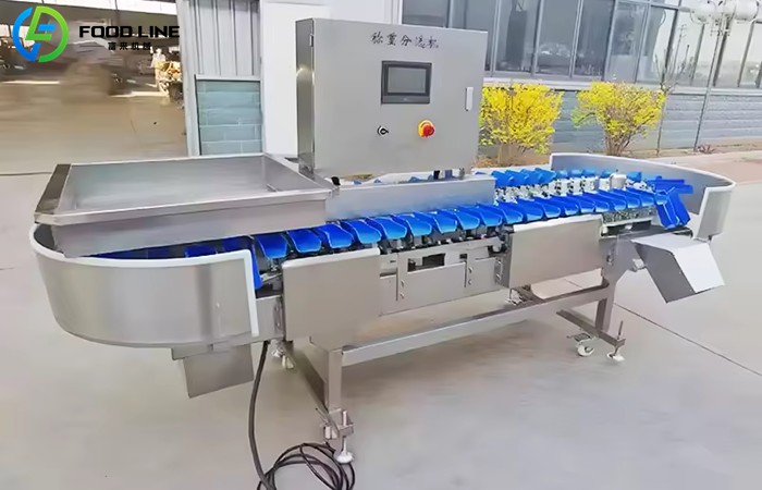 vegetable grading machine
