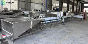 Read more about the article Automatic egg washer machine for sale in South Africa