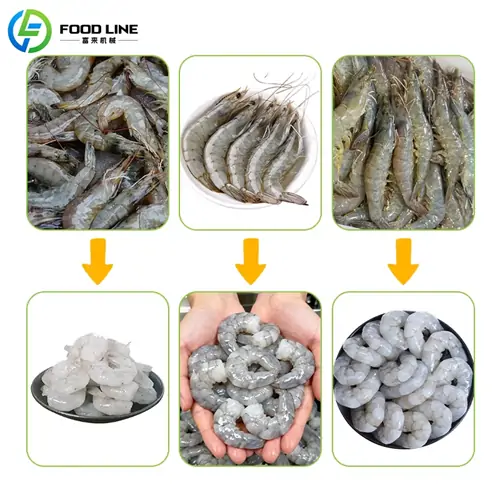 Foodline Shrimp Peeling Machine