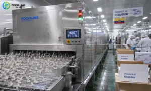 Read more about the article Ecuador Shrimp Processing Plant Upgrades IQF Freezing Line with Foodline 1,000 kg/h Tunnel Blast Freezer
