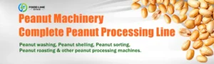 Read more about the article Peanut Processing Machine | Complete Peanut Processing Line & Peanut Machinery Manufacturer